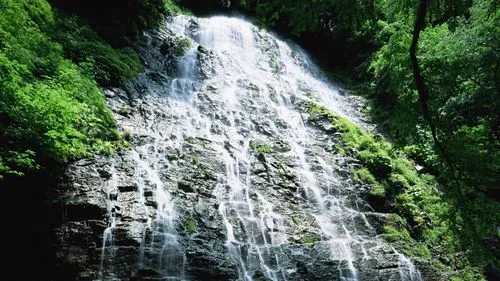 精密高效稳定性